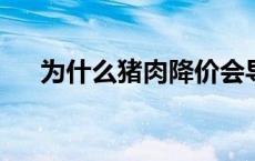 为什么猪肉降价会导致羽毛球价格暴涨