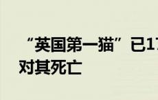 “英国第一猫”已17岁，唐宁街做好准备应对其死亡