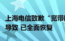 上海电信致歉“宽带断网”：城域网设备故障导致 已全面恢复