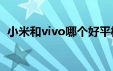 小米和vivo哪个好平板 小米和vivo哪个好 