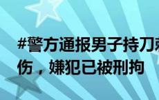 #警方通报男子持刀刺伤妻子岳父#：致1死1伤，嫌犯已被刑拘