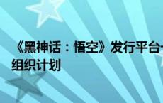 《黑神话：悟空》发行平台一夜遭28万次攻击，幕后有严密组织计划