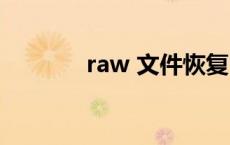 raw 文件恢复 raw格式修复 