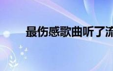 最伤感歌曲听了流泪 什么歌最伤感 