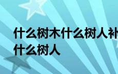 什么树木什么树人补充句子二年级 什么树木什么树人 