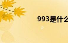 993是什么意思 993 