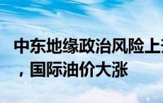 中东地缘政治风险上升、利比亚暂停石油出口，国际油价大涨