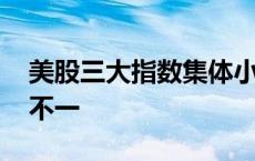 美股三大指数集体小幅收涨 热门科技股涨跌不一