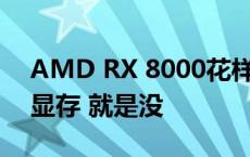 AMD RX 8000花样还真不少！4种核心3种显存 就是没