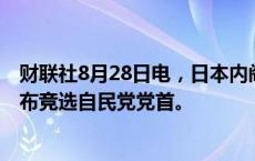 财联社8月28日电，日本内阁官房长官林芳正将于9月3日宣布竞选自民党党首。