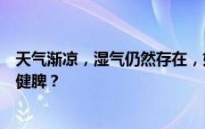 天气渐凉，湿气仍然存在，如何通过食疗、按摩等方式祛湿健脾？