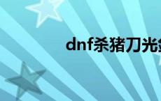 dnf杀猪刀光剑 dnf杀猪刀 