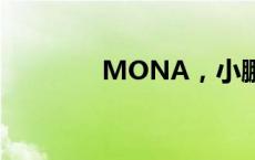 MONA，小鹏的销量解药？