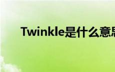 Twinkle是什么意思 twin是什么意思 