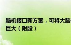 脑机接口新方案，可将大脑信号直接变文本，产业发展潜力巨大（附股）