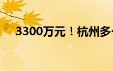 3300万元！杭州多个城区发放消费补贴