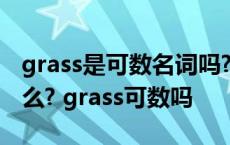 grass是可数名词吗?假如grass是复数那是什么? grass可数吗 