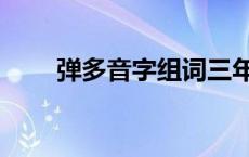 弹多音字组词三年级 弹多音字组词 