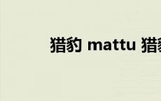 猎豹 mattu 猎豹mattu怎么样 