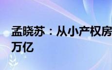 孟晓苏：从小产权房起征房产税，每年能收2万亿