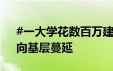 #一大学花数百万建校门#，警惕“装修风”向基层蔓延