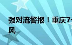 强对流警报！重庆7个区将出现8-9级雷雨大风