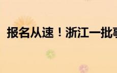 报名从速！浙江一批事业单位发布招聘公告