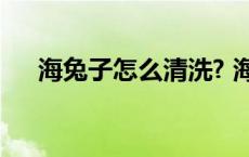 海兔子怎么清洗? 海兔子怎么清洗图解 