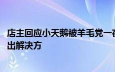 店主回应小天鹅被羊毛党一夜薅走7000万：已与品牌方协商出解决方