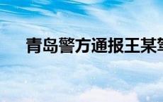 青岛警方通报王某驾车逆行殴打他人案