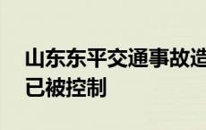 山东东平交通事故造成11人遇难，肇事司机已被控制