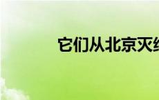 它们从北京灭绝也在北京重生