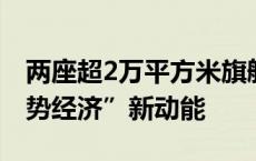 两座超2万平方米旗舰店亮相，点石蕴蓄“逆势经济”新动能