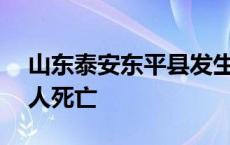 山东泰安东平县发生道路交通事故，已致11人死亡