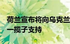 荷兰宣布将向乌克兰提供价值超2亿欧元的新一揽子支持