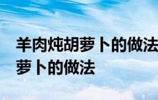 羊肉炖胡萝卜的做法 最正宗的做法 羊肉炖胡萝卜的做法 