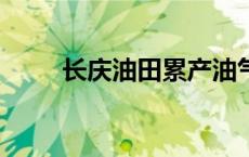 长庆油田累产油气当量突破10亿吨