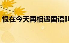 恨在今天再相遇国语叫什么 恨在今天再相遇 