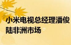 小米电视总经理潘俊：埃及产小米电视即将登陆非洲市场