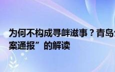 为何不构成寻衅滋事？青岛公安转发专家对“王某逆行打人案通报”的解读