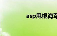 asp甩棍海军版 asp甩棍 