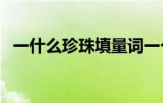 一什么珍珠填量词一个 一什么珍珠填量词 