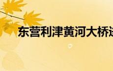 东营利津黄河大桥进入琥珀色落日时分