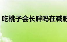 吃桃子会长胖吗在减肥期间 吃桃子会长胖吗 