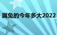 属兔的今年多大2022 属兔的今年多大2018 