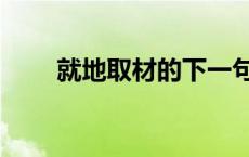 就地取材的下一句 就地取材的意思 