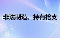 非法制造、持有枪支，王某某获刑2年1个月