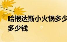 哈根达斯小火锅多少钱一份 哈根达斯小火锅多少钱 