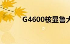 G4600核显鲁大师 g4600核显 