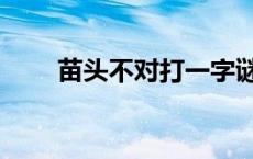 苗头不对打一字谜 苗头不对打一字 